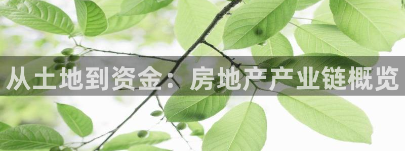 和记彩官网：从土地到资金：房地产产业链概览