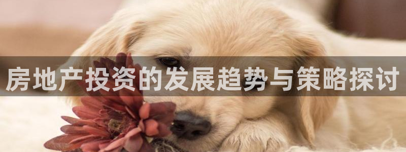 和记黄埔中药公司官网：房地产投资的发展趋势与策略探讨