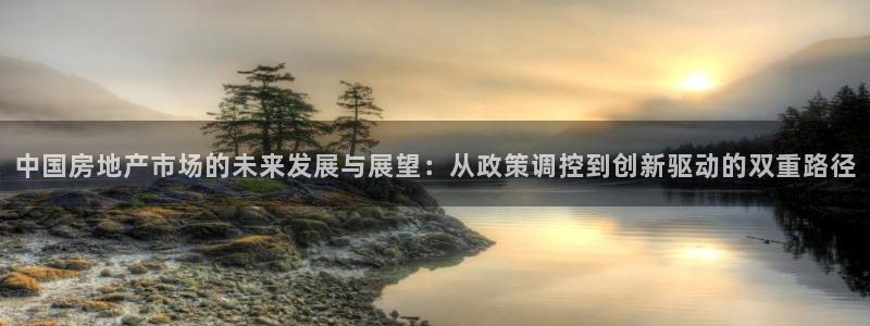 白云 和记黄埔官网：中国房地产市场的未来发展与展望：从政策调