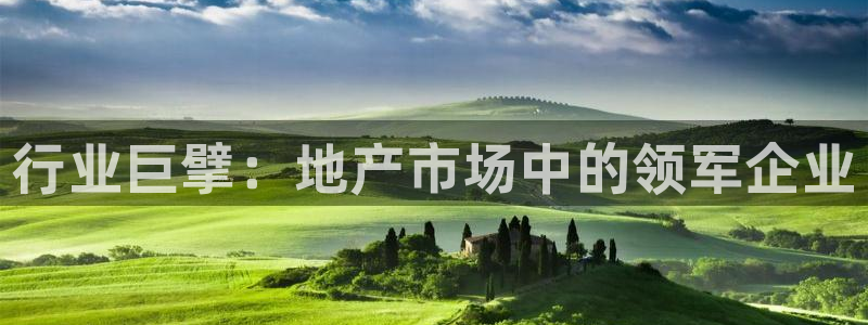 和记h88永久官网：行业巨擘：地产市场中的领军企业