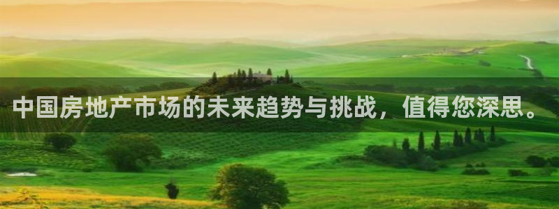 和记怡情官网：中国房地产市场的未来趋势与挑战，值得您深思。