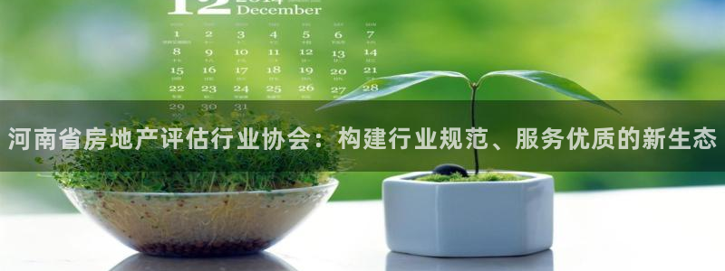 和记国际官网首页：河南省房地产评估行业协会：构建行业规范、服