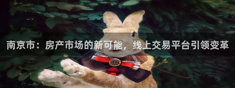 和记黄埔官网：南京市：房产市场的新可能，线上交易平台引领变革