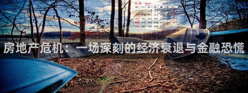 和记家家加盟官网：房地产危机：一场深刻的经济衰退与金融恐慌