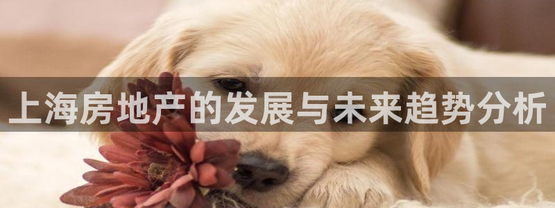 和记黄埔 官网