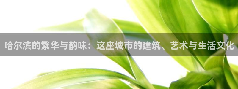 和记官网怡情娱乐