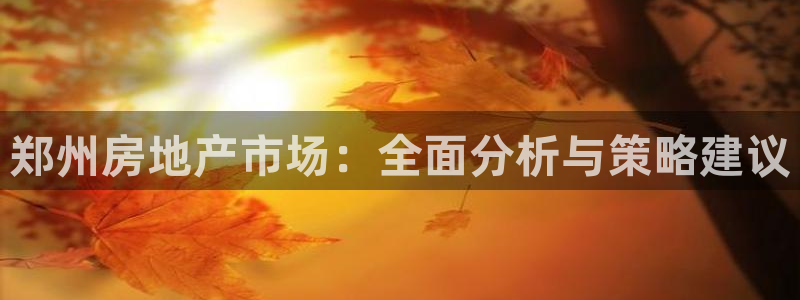 和记门店官网：郑州房地产市场：全面分析与策略建议