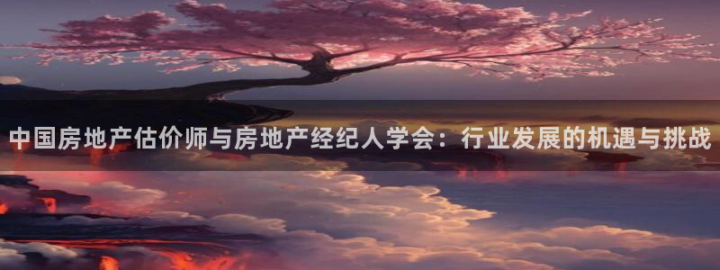 和记官网客户端：中国房地产估价师与房地产经纪人学会：行业发展