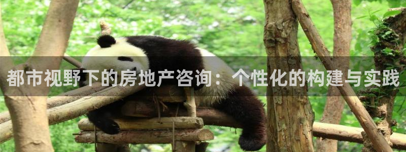 和记电讯APP官网充值：都市视野下的房地产咨询：个性化的构建