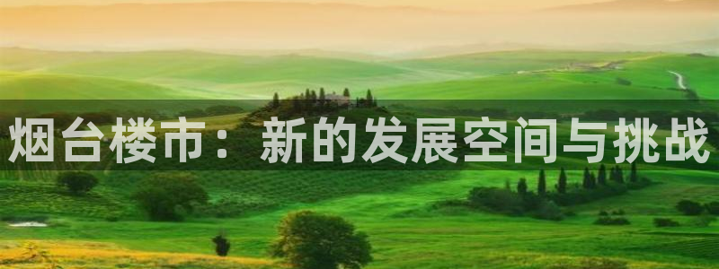 香港和记卡官网：烟台楼市：新的发展空间与挑战