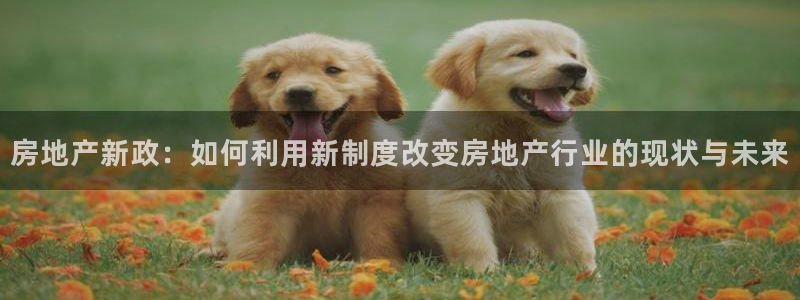 和记游戏官网：房地产新政：如何利用新制度改变房地产行业的现状