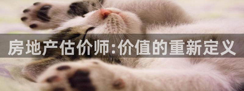 和木记官网：房地产估价师:价值的重新定义