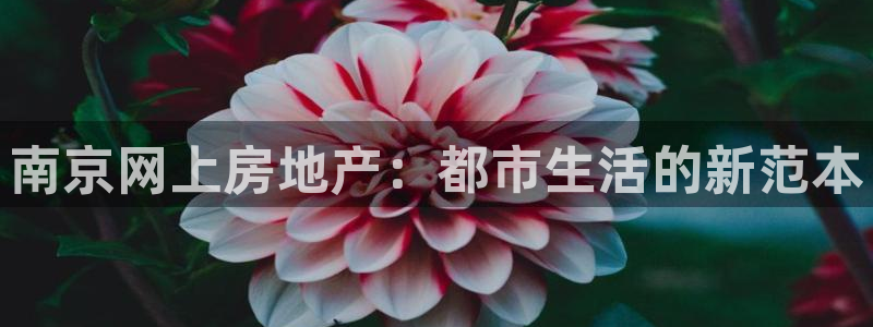 和记网站官网：南京网上房地产：都市生活的新范本