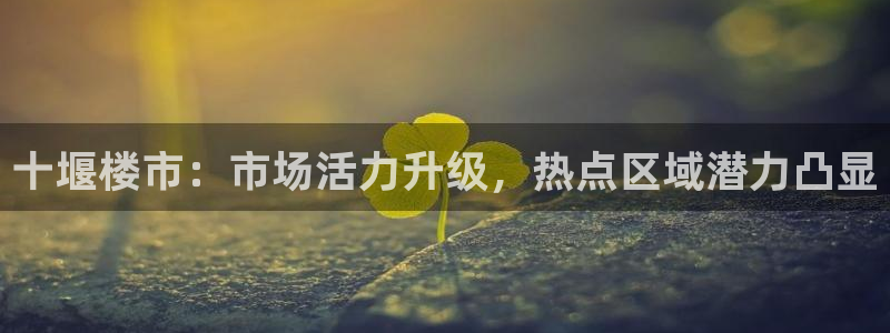 果博官网和记