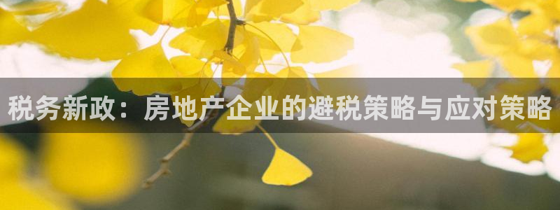 和记娱乐场所官网：税务新政：房地产企业的避税策略与应对策略