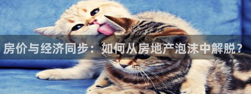 和记电讯香港官网：房价与经济同步：如何从房地产泡沫中解脱？