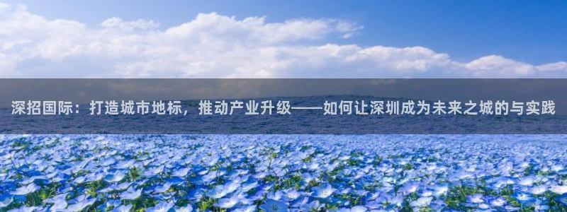 和记旗舰官网：深招国际：打造城市地标，推动产业升级——如何让