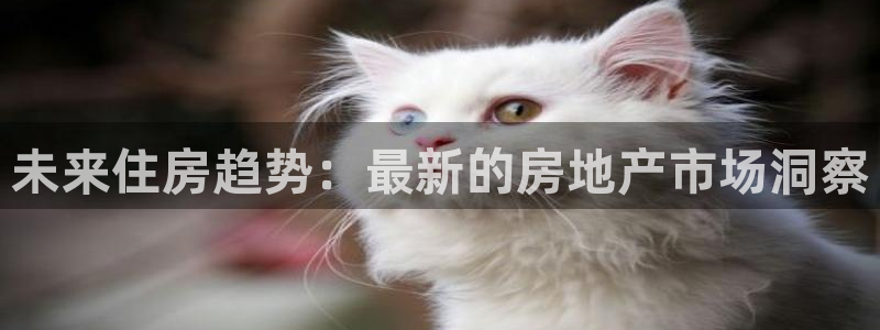 和记租车官网：未来住房趋势：最新的房地产市场洞察