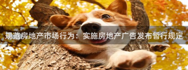 和记门店官网：规范房地产市场行为：实施房地产广告发布暂行规定