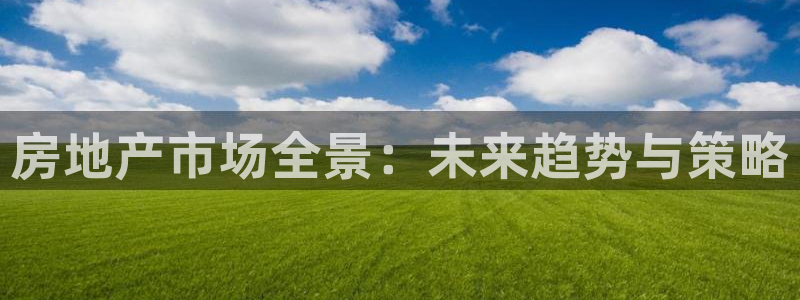 和记茶餐厅官网：房地产市场全景：未来趋势与策略