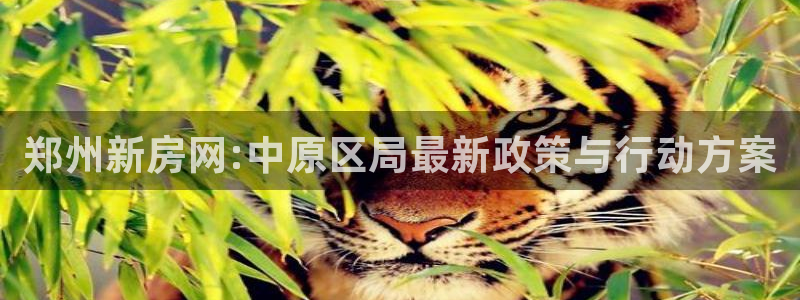 和记家家加盟官网：郑州新房网:中原区局最新政策与行动方案