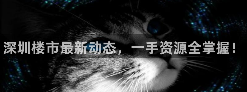和记官网娱乐场：深圳楼市最新动态，一手资源全掌握！
