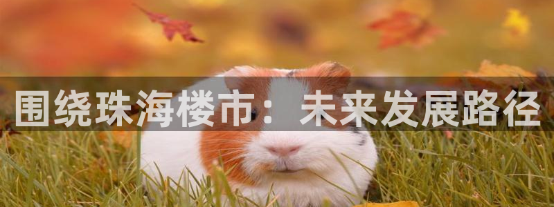 和记官网 (中国区)官方网站：围绕珠海楼市：未来发展路径