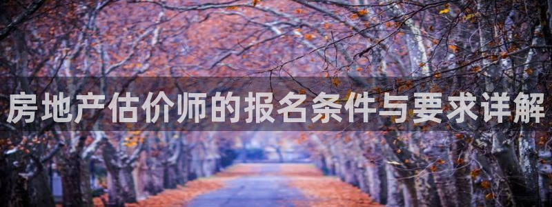 和记游戏官网：房地产估价师的报名条件与要求详解