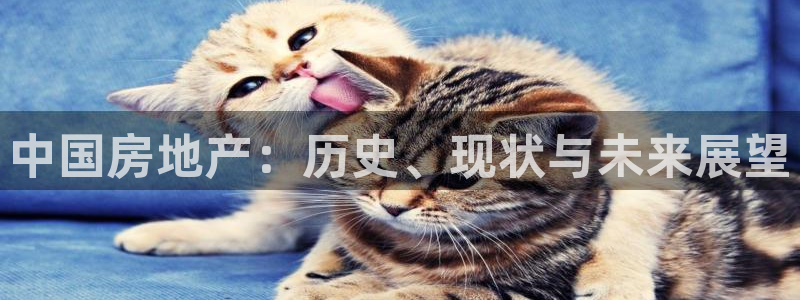 果博官网和记：中国房地产：历史、现状与未来展望