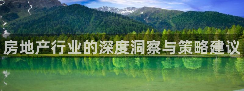 和记港口官网：房地产行业的深度洞察与策略建议