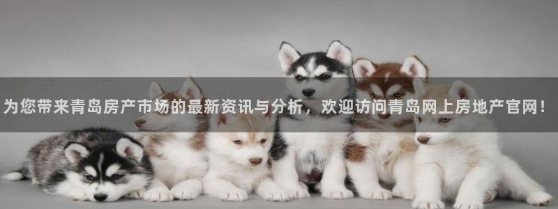 长江和记官网
