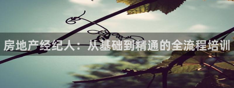 和记开户官网：房地产经纪人：从基础到精通的全流程培训