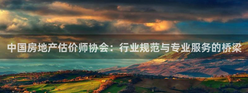 和记官网是一个什么平台