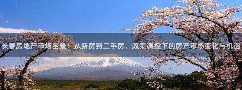 菲律宾和记官网：长春房地产市场全景：从新房到二手房，政策调控