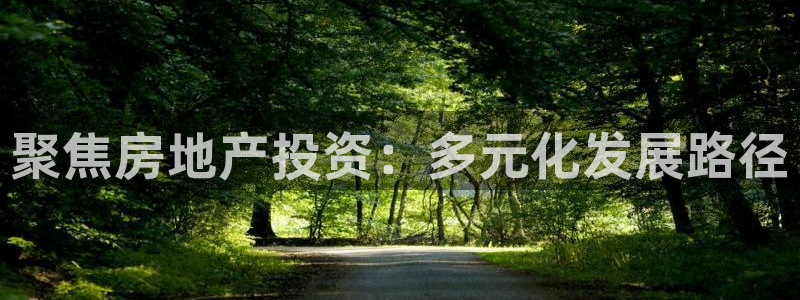 胡和记面官网：聚焦房地产投资：多元化发展路径
