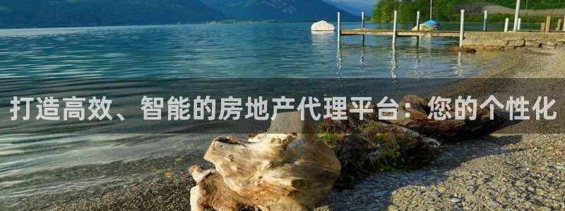 和记怡情视频在线官网：打造高效、智能的房地产代理平台：您的个
