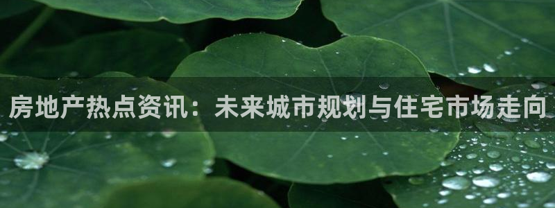 和记备用网官网开户
