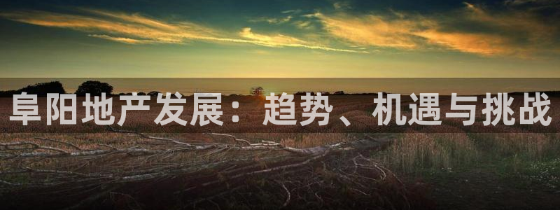 和记黄埔集团官网