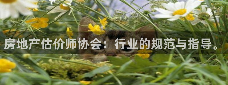 小金库钱包app下载官网和记