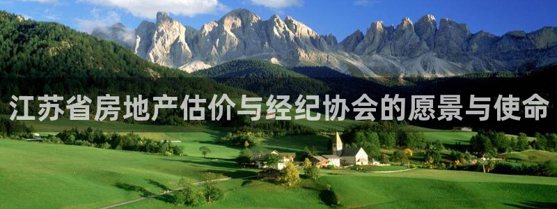 胡和记官网：江苏省房地产估价与经纪协会的愿景与使命