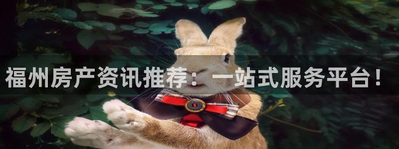 和记中国官网
