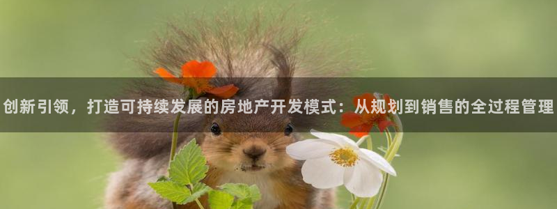 和记国际官网官网：创新引领，打造可持续发展的房地产开发模式：