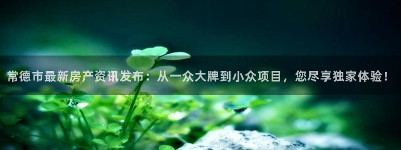 和生记官网