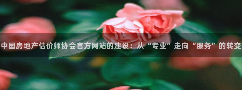 和记娱就问h88285官网：中国房地产估价师协会官方网站的建