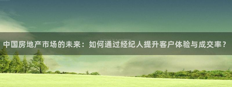 和记黄埔中药公司官网：中国房地产市场的未来：如何通过经纪人提