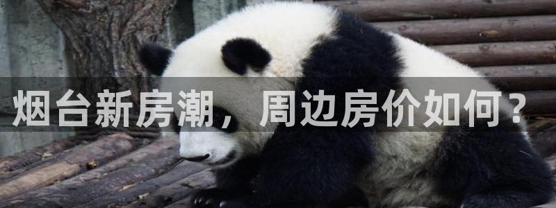 和记官网怡情娱乐：烟台新房潮，周边房价如何？