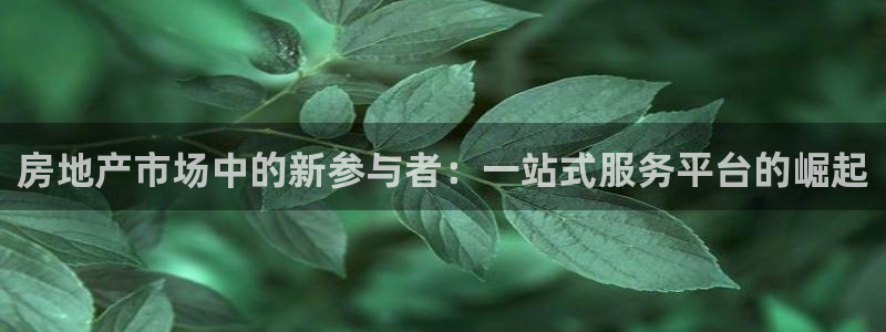 和记火爆官网
