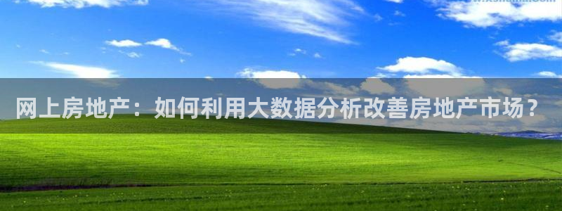 和记官网和记：网上房地产：如何利用大数据分析改善房地产市场？