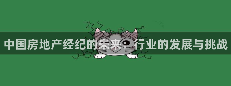 和记怡情h88官网中文版：中国房地产经纪的未来：行业的发展与