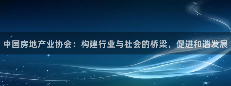和力记易官网：中国房地产业协会：构建行业与社会的桥梁，促进和